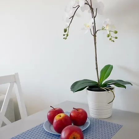 Apartmán Blue Paradise *