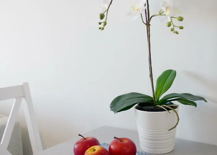 Appartement Blue Paradise *